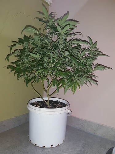 Growreport Bild 4