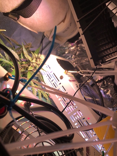 Growreport Bild 21