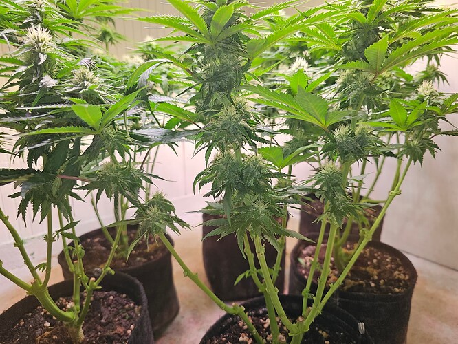 Growreport Bild 13