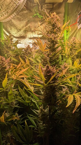 Growreport Bild 4
