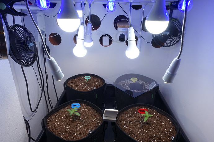 Growreport Bild 16