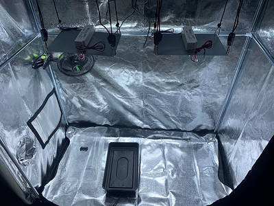 Growreport Bild 1