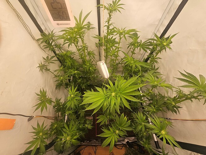 Growreport Bild 9