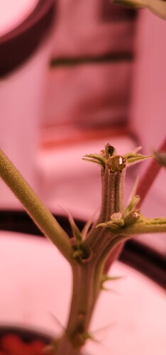 IMG_20220129_130305