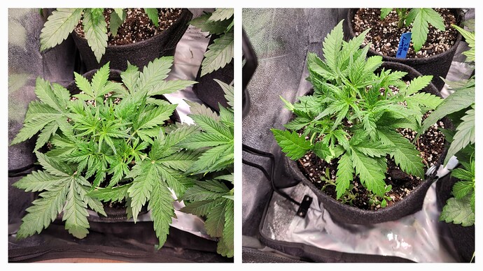 Growreport Bild 10