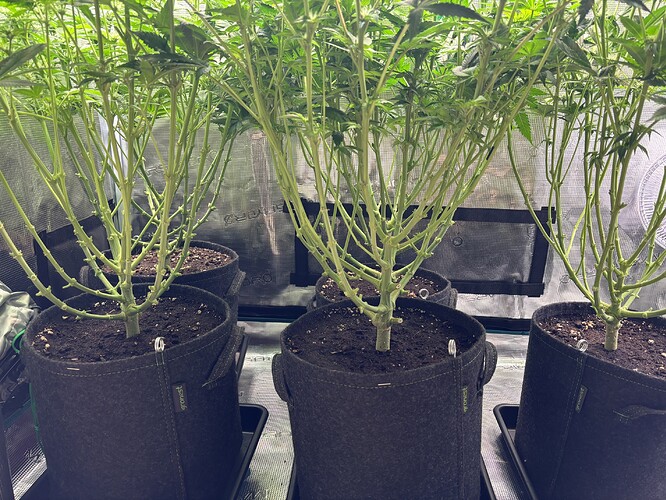 Growreport Bild 5