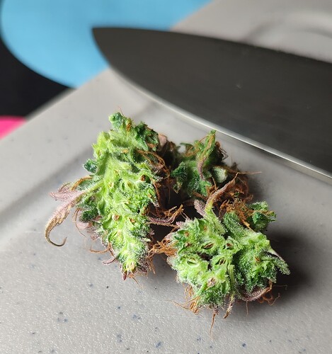 Growreport Bild 21