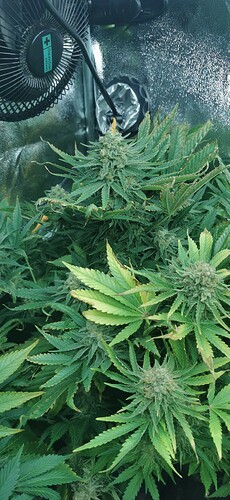 Growreport Bild 23