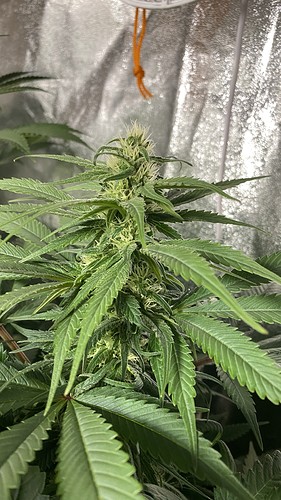 Growreport Bild 14