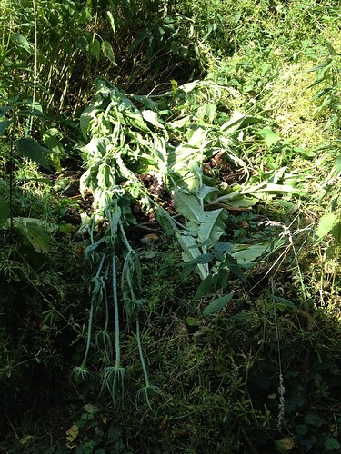 070_SiebterSiebter_24