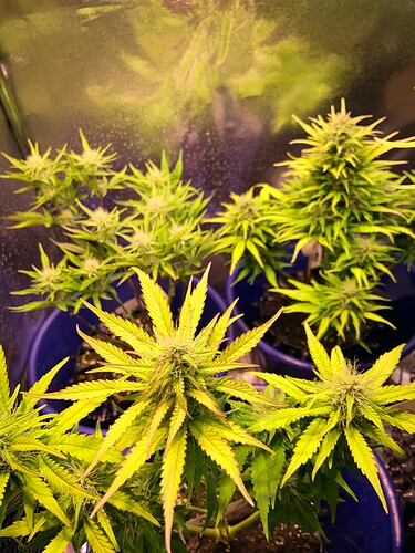 Growreport Bild 11