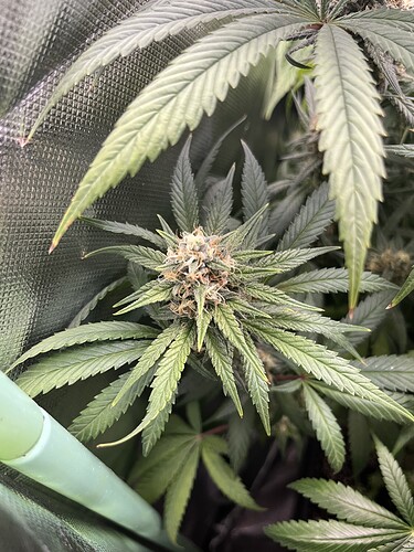 Growreport Bild 21