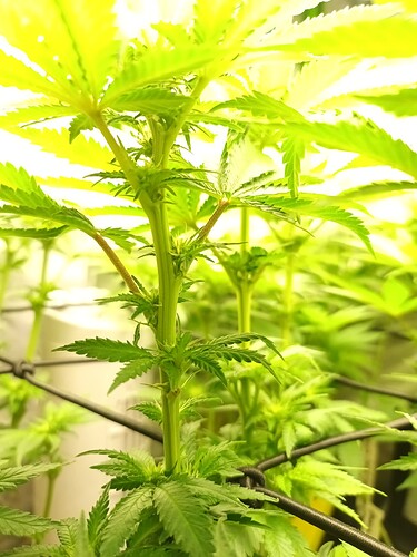 Growreport Bild 10