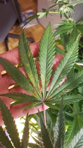 Growreport Bild 14