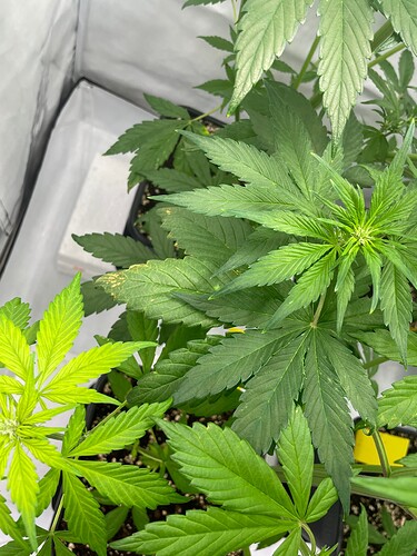 Growreport Bild 9
