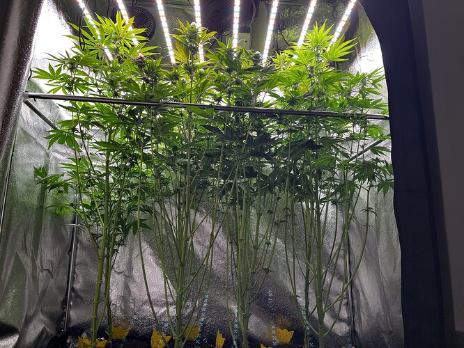 Growreport Bild 7