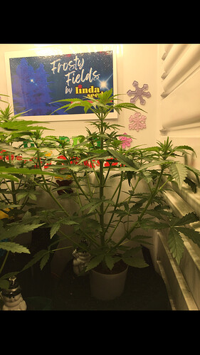 Growreport Bild 12