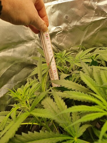 Growreport Bild 21