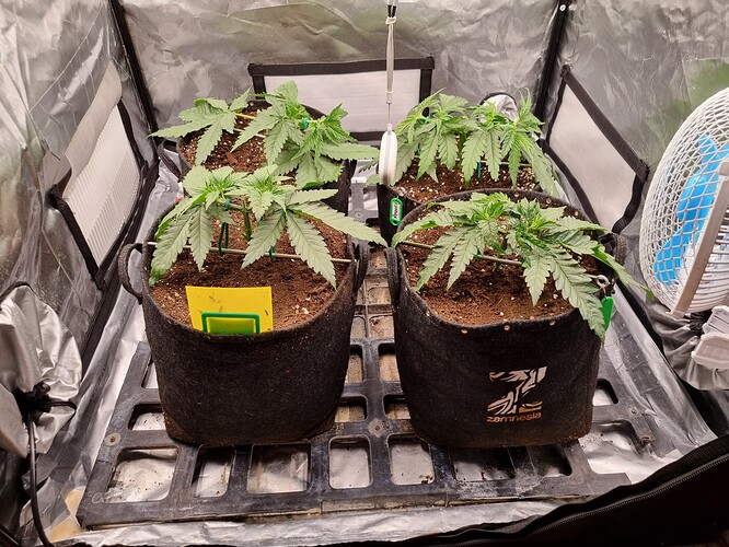 Growreport Bild 15