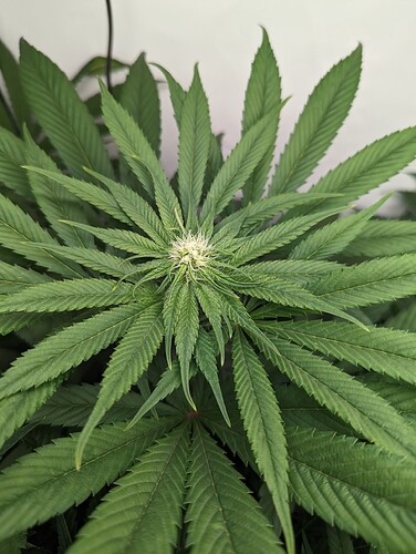 Growreport Bild 6