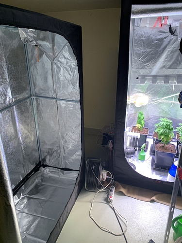 Growreport Bild 10