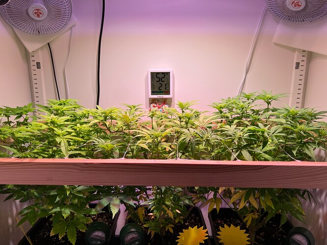 Growreport Bild 2