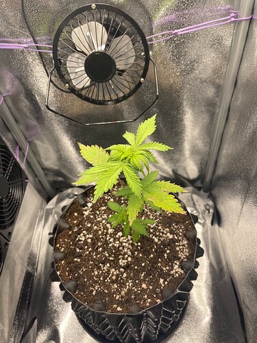 Growreport Bild 7