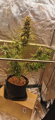 Growreport Bild 21