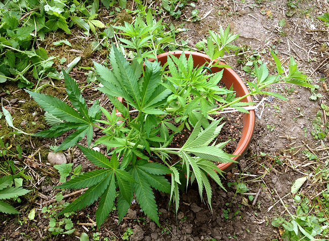 Growreport Bild 10