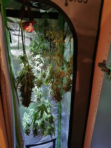Growreport Bild 7