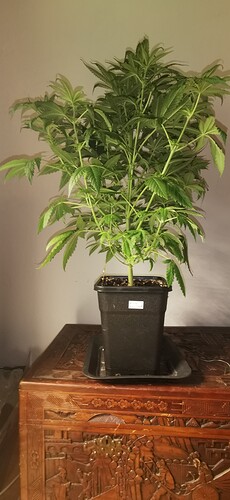 Growreport Bild 11