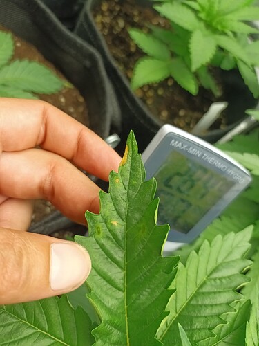 Growreport Bild 18