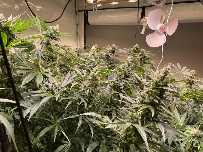 Growreport Bild 1