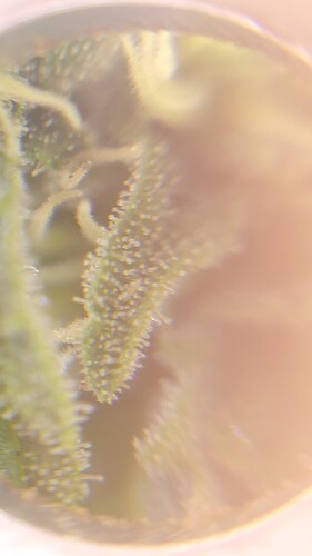 Growreport Bild 5