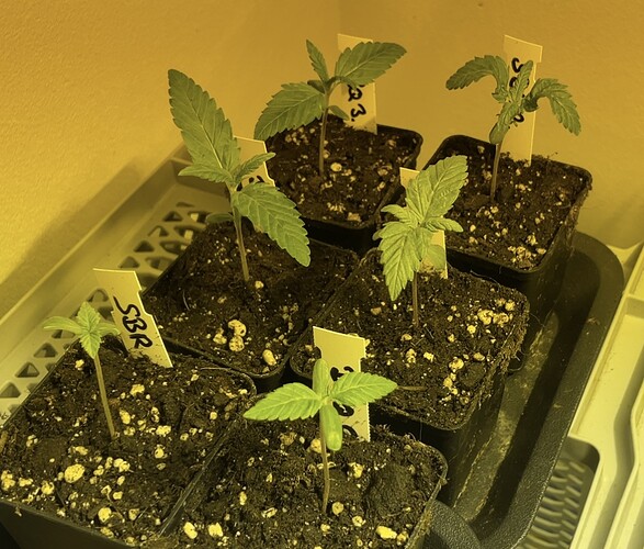 Growreport Bild 10