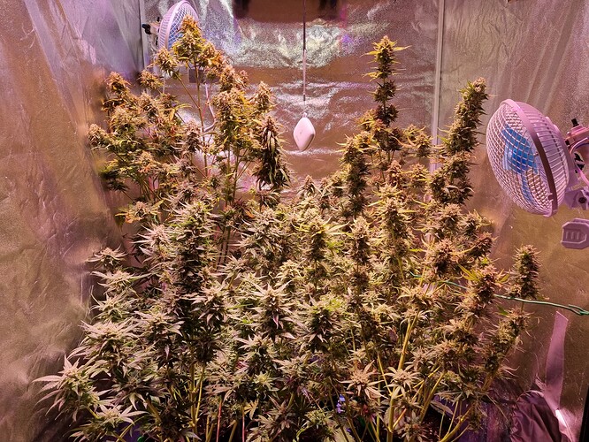 Growreport Bild 18