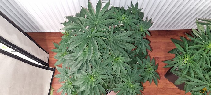 Growreport Bild 25