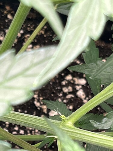 Growreport Bild 25