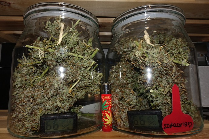Growreport Bild 3