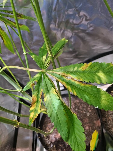 Growreport Bild 6