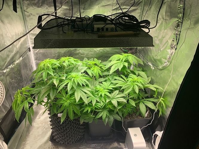 Growreport Bild 10