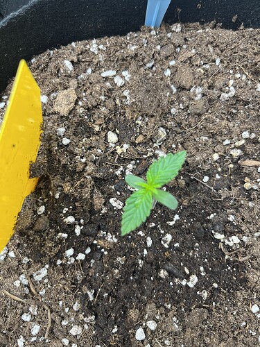 Growreport Bild 20