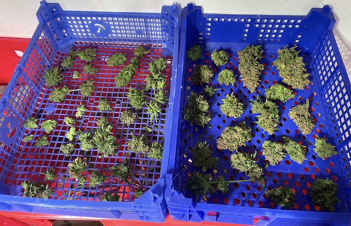 Growreport Bild 6