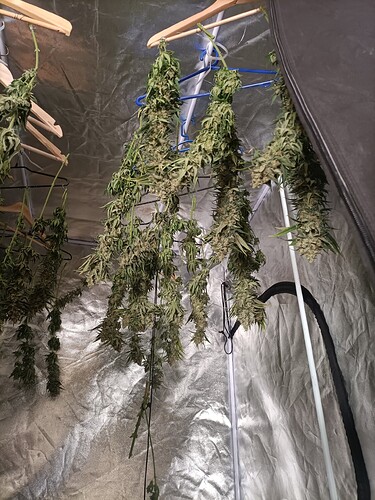 Growreport Bild 8