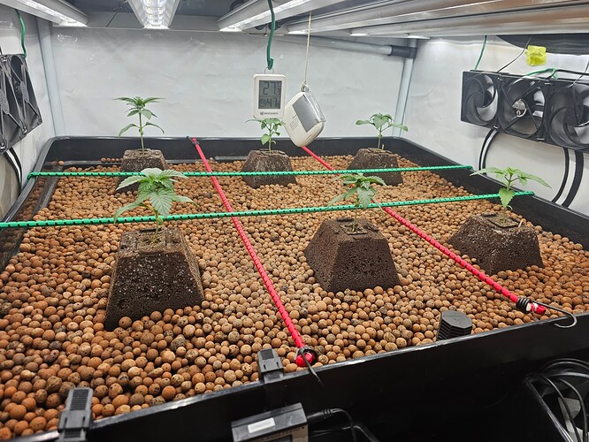 Growreport Bild 1