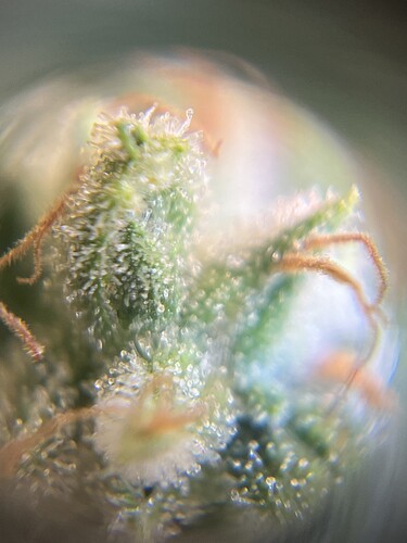 Growreport Bild 23