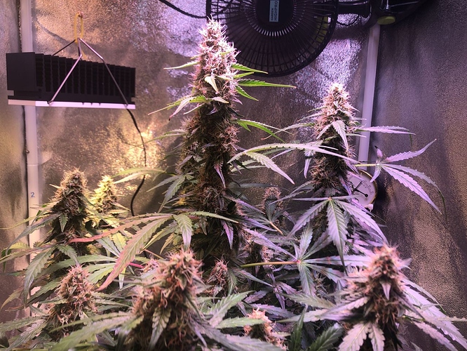 Growreport Bild 23