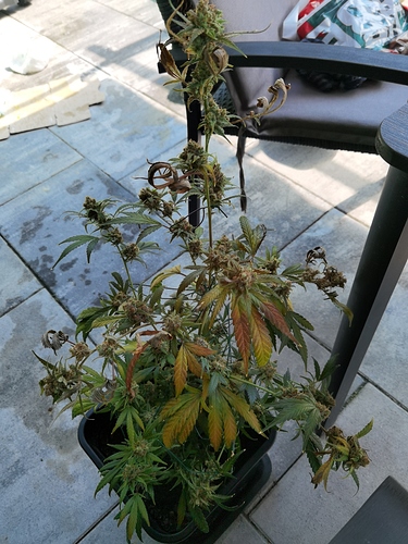 Growreport Bild 12