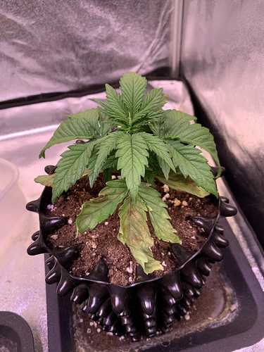 Growreport Bild 5