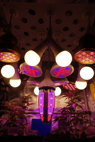 Growreport Bild 10